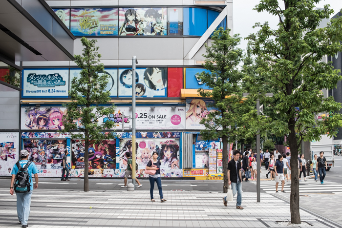 http://www.davideconventi.com/files/gimgs/118_akihabara2015-7483.jpg