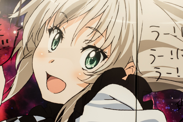 http://www.davideconventi.com/files/gimgs/118_akihabara2015-7501.jpg